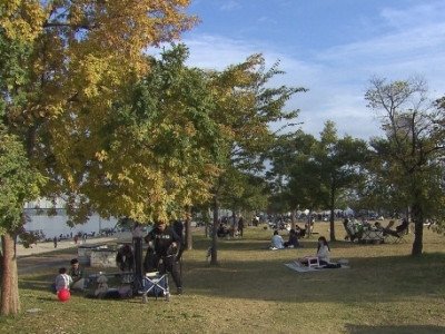왜 이렇게 덥지?…11월의 서울, 116년 만에 가장 덥다